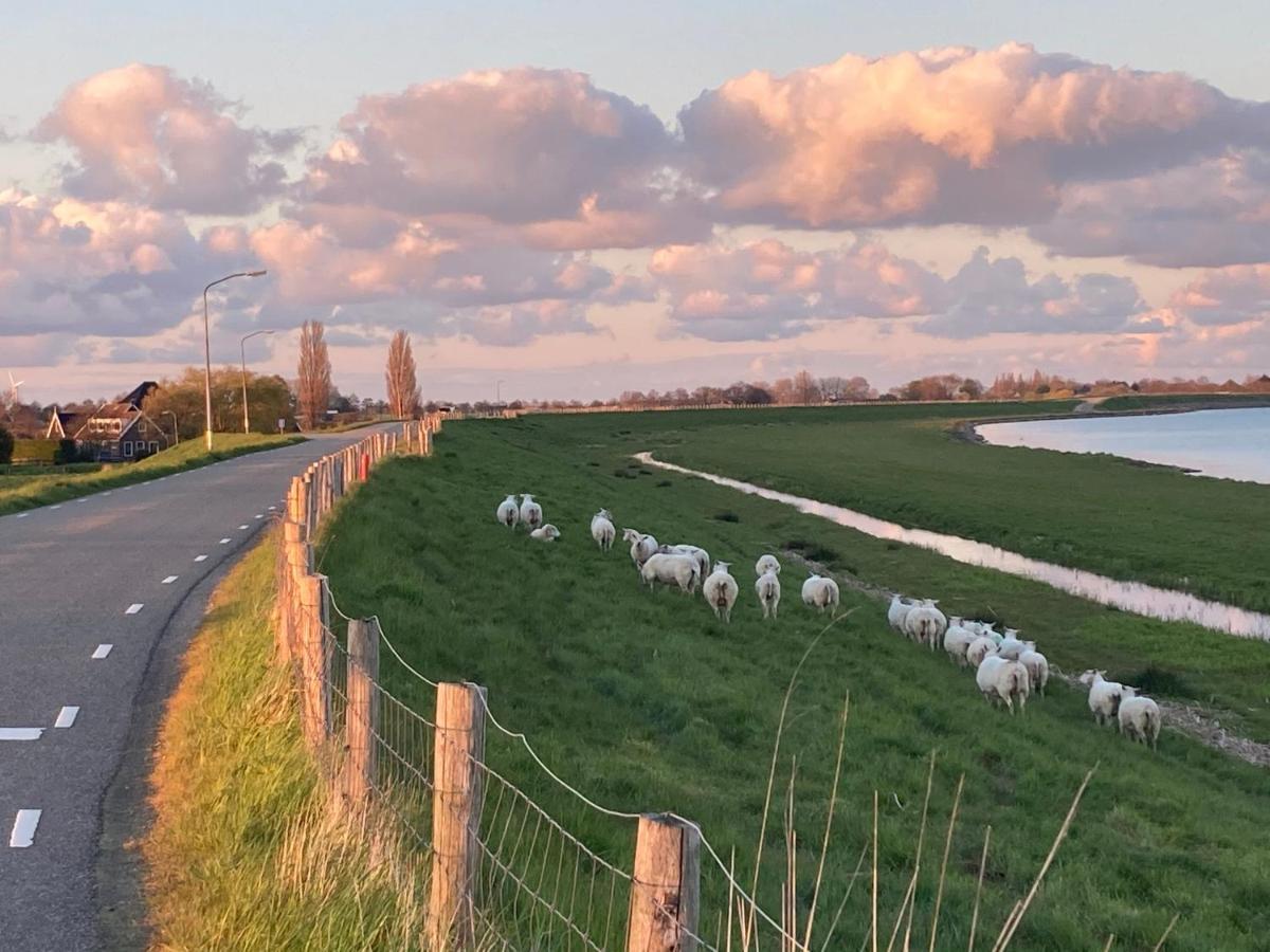 Vakantiehuis Het Uilennest Wijdenes Exterior foto
