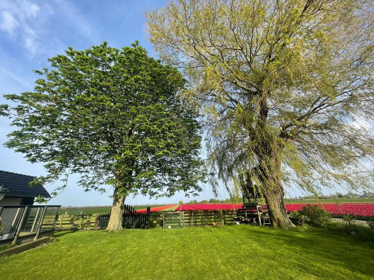 Vakantiehuis Het Uilennest Wijdenes Exterior foto